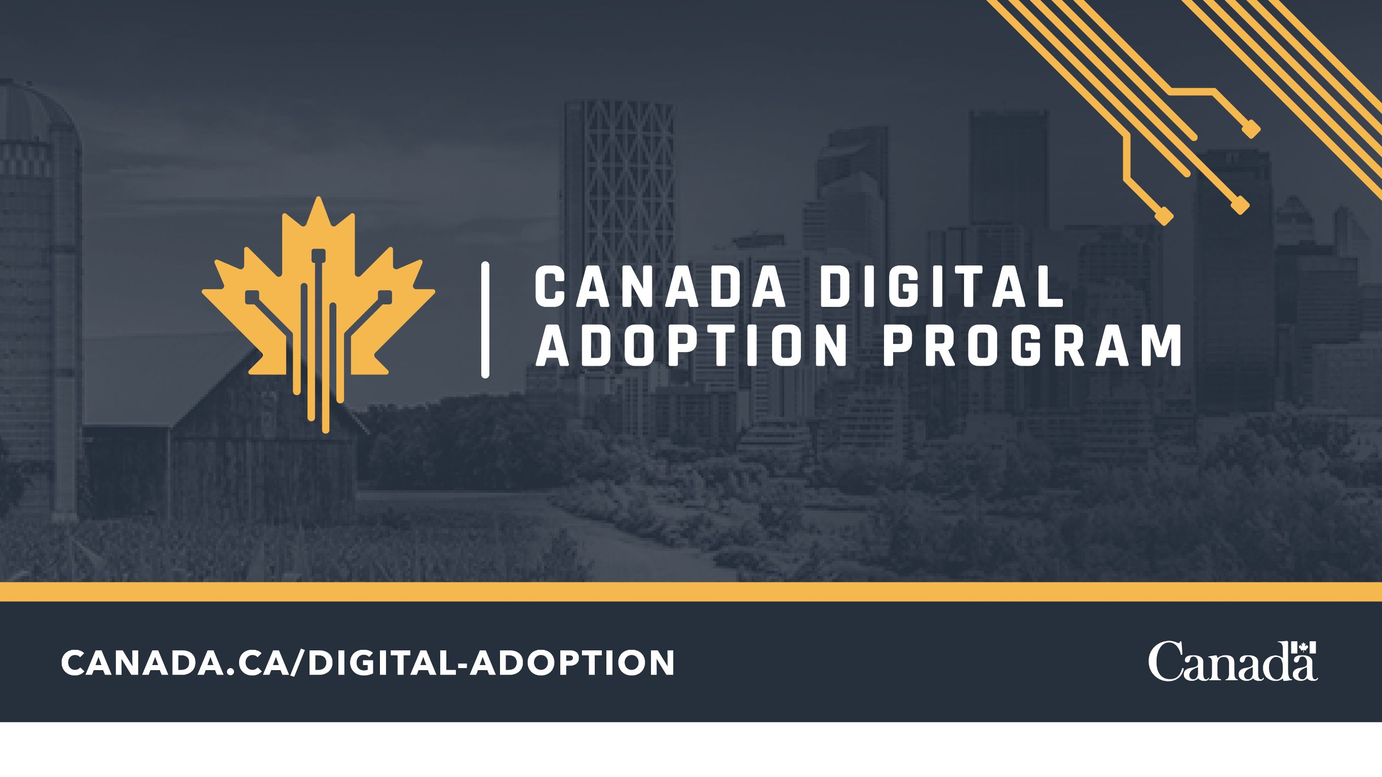 CDAP: Canada Digital Adoption Program