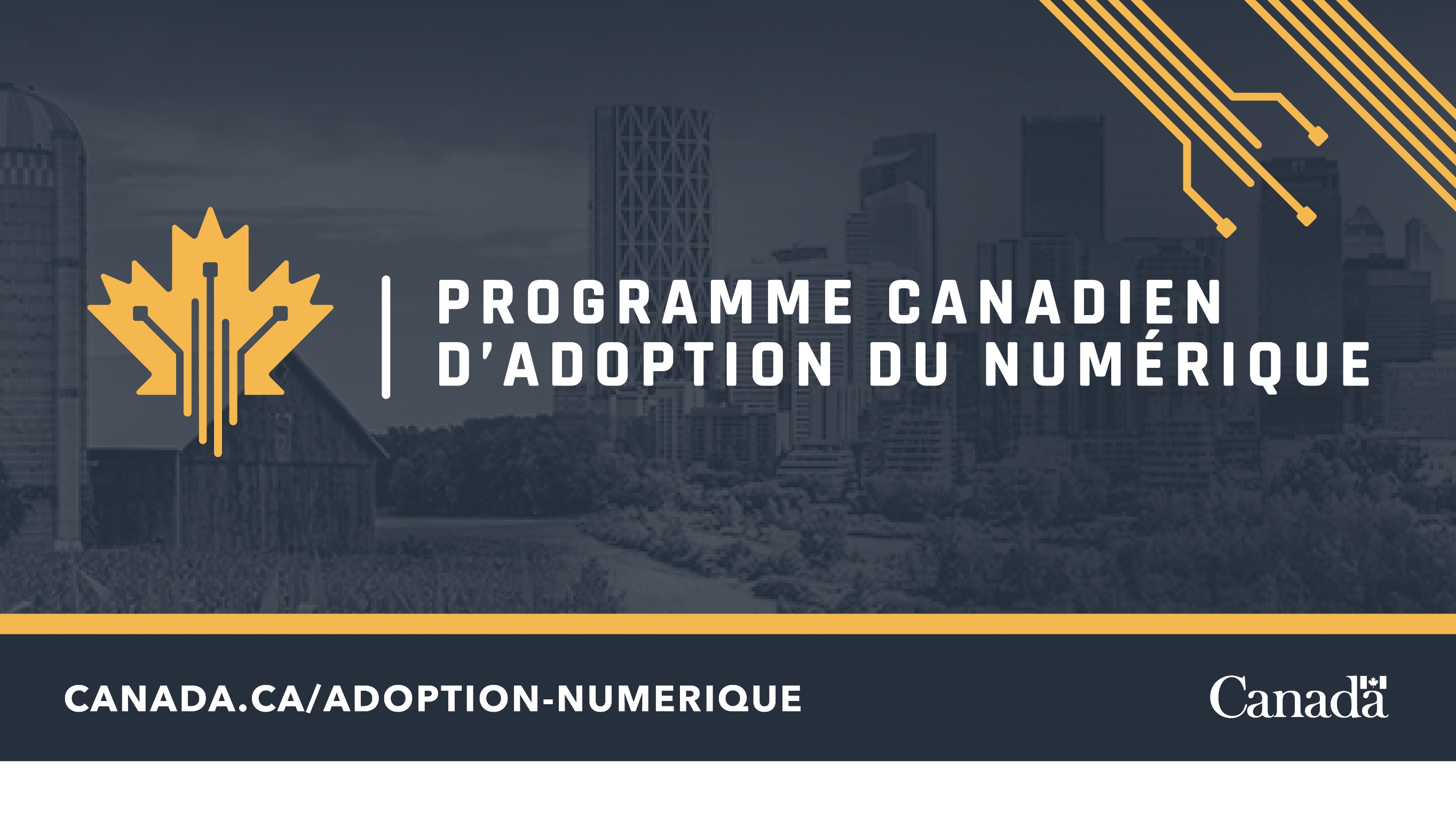 Programme Canadien d'adoption du Numérique